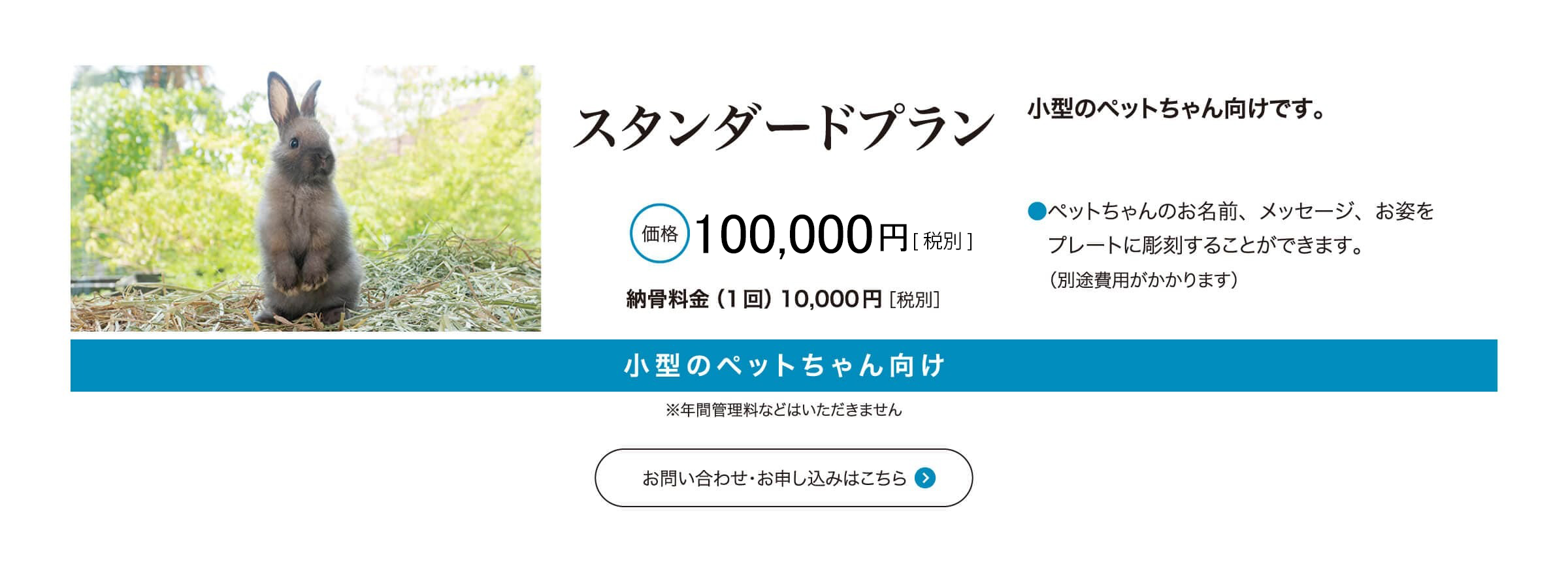 スタンダードプラン