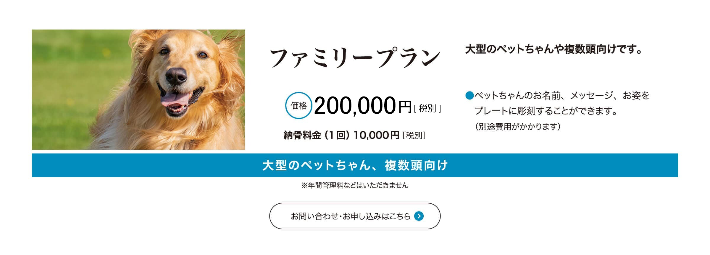 ファミリープラン